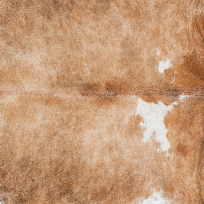 Brazilian Brindle White Belly Cowhide Rug Size 7'3" L x 6'2" W 7145
