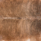files/7153_b_f1c72d53-e7a2-4978-a11b-412b56796ae4.jpg