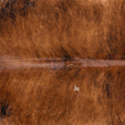 files/7156_b_1fe60461-e620-4f1e-aaf9-fae58d868443.jpg