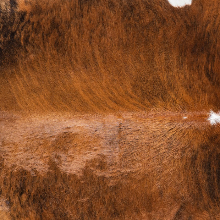 Brazilian Brindle White Belly and Backbone Cowhide Rug Size 7'10" L x 6'5" W 7181
