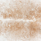 files/7225_b_0cd46ba4-cbf8-41e1-88e0-546b001a3b97.jpg