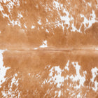 files/7230_b_56c9569e-3f46-466d-9f86-94f83c80c961.jpg