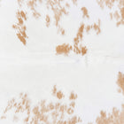 files/7237_b_4f2d6fa4-1feb-4783-a246-50123d4b756b.jpg