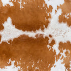 files/7246_b_cc49bc22-9b59-44b7-9fa6-323a01586f07.jpg