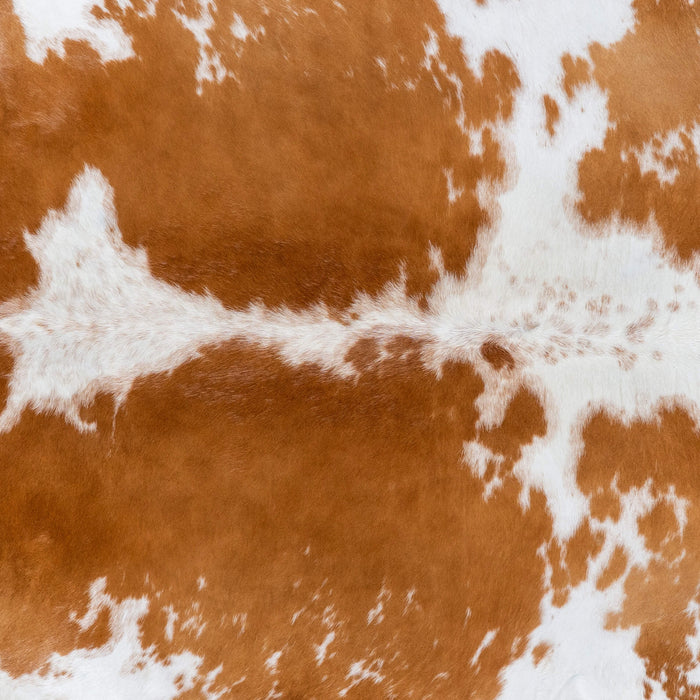 Brazilian Brown and White Cowhide Rug Size 7'3" L x 6'9" W 7246