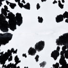 files/7258_b_56b3f8f2-ce0f-4db6-8a04-4b61e7428262.jpg