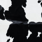 files/7259_b_d6082b08-1965-4e2b-9140-f4d247148511.jpg