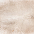 files/7359_b_a319d920-af8d-4b59-83d8-e9c1c8b0109d.jpg
