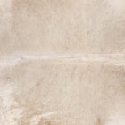 files/7369_b_71fa95db-2337-4742-9d66-5b89a4bc36b1.jpg