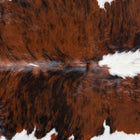 files/7407_b_54483d70-8331-46c5-9cac-0e8f4a6eeaf6.jpg