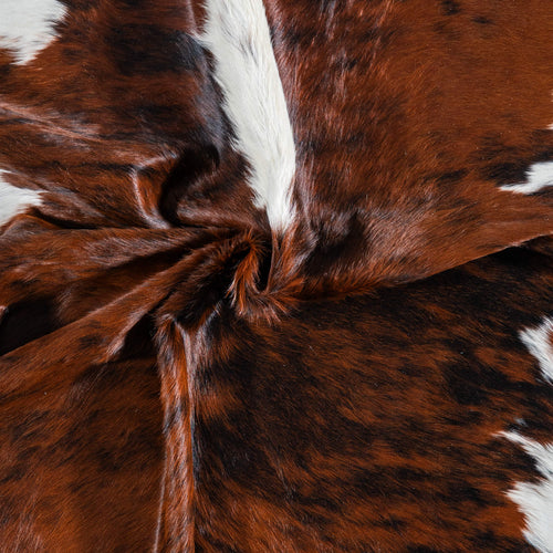 Brazilian Brindle White Belly and Backbone Cowhide Rug Size 8'0" L x 6'6" W 7407