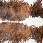 files/7408_b_6c27ff8e-26b9-42f8-b7c0-a42e656509d1.jpg