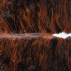 files/7410_b_5b0b7550-4e1e-4e87-bfc7-5cc0cef5d049.jpg