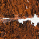 files/7411_b_04f7fcbe-9a7a-465b-b938-9c9b9c7d498c.jpg