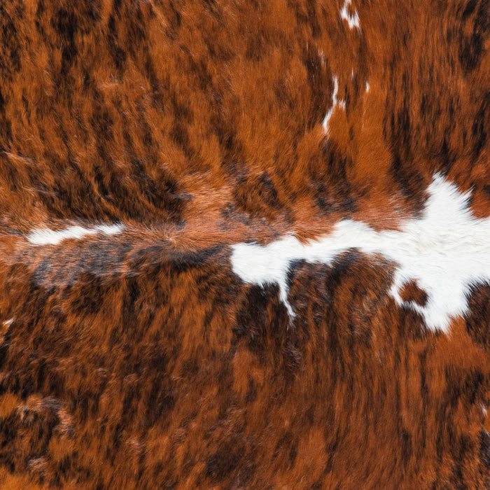 Brazilian Brindle White Belly and Backbone Cowhide Rug Size 7'5" L x 6'11" W 7411