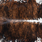 files/7414_b_b5fc4523-c841-4834-857d-76b8cc755cf0.jpg