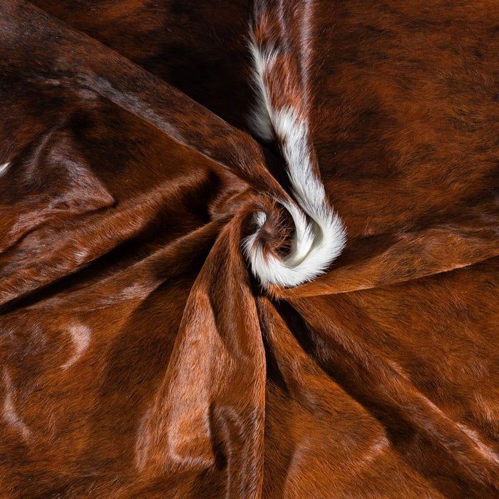 Brazilian Brindle White Belly and Backbone Cowhide Rug Size 7'6" L x 7'0" W 7418