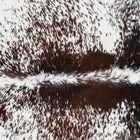 files/7421_b_527e9f06-e5d1-4260-a3d3-1130d4e9729f.jpg