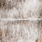 files/7457_b_b40f2b57-15d1-4f7a-9261-f44fa9b8c4be.jpg