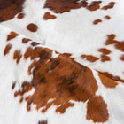 files/7518_c_52534491-d32e-4bc7-9e37-ab2c4994e9fb.jpg