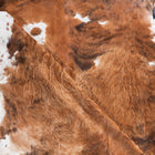 files/7592_c_0072e62e-532d-40a3-b3b6-75325d54ad14.jpg