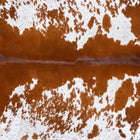 files/7688_b_44453810-47d6-4cfa-9ae3-382161977542.jpg