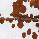 files/7689_b_3f5e0fe5-eb48-4a3f-b3c3-c204c045d8b9.jpg