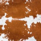 files/7692_b_1e16d88b-37f5-4ea9-98ba-031f0af5e88c.jpg