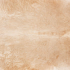 files/7700_b_6611cc24-efc2-47d9-a914-13714d388d21.jpg