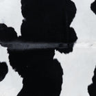 files/7738_b_88b88433-0ea4-42bf-8788-84b5f4bc5fc2.jpg