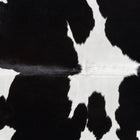 files/7742_b_e21f1f96-73f6-4e93-86c4-6387d99aeeb2.jpg