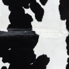 files/7745_b_c9483b86-a74e-4748-866d-eb5142747b64.jpg