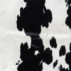 files/7746_b_6030e2c7-858d-4ae5-9b9f-9d80a1cb42f6.jpg