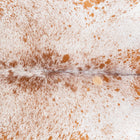 files/7759_b_0b046e45-b96e-4240-87ba-ee5013adc17d.jpg