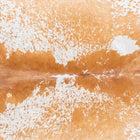 files/7762_b_0b0510ff-8f7a-4c60-8c3e-f524cf5f2b46.jpg