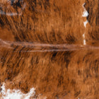 files/7774_b_03a857de-7185-4059-a248-f05ead5b5ed8.jpg