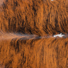 files/7783_b_4faa9824-e978-4716-abe4-8dff07cc1c6d.jpg