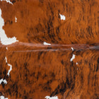 files/7784_b_78c8b832-b730-48f8-a1b2-4a24d896b5d0.jpg