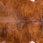 files/7787_b_47d7c4df-0245-44f9-a9c6-7ec69a4bc9c9.jpg