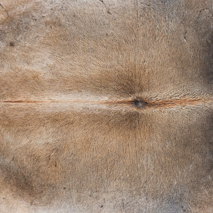 Brazilian Grey Palomino Cowhide Rug Size 8'2" L x 7'1" W 7817