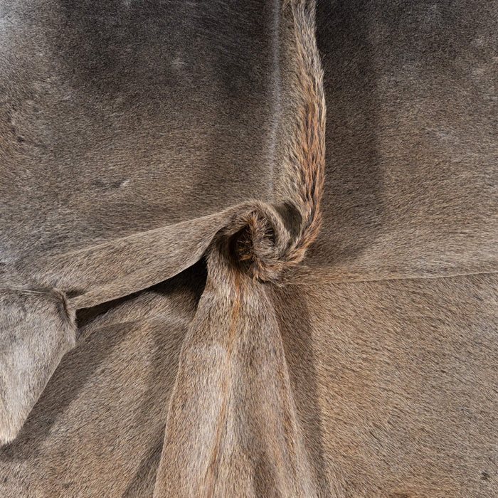 Brazilian Grey Palomino Cowhide Rug Size 8'2" L x 7'1" W 7817