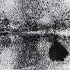files/7831_b_02464052-ccea-4b0c-ab6f-90767b01aaf7.jpg