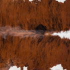 files/7853_b_36b3f326-e57b-41c1-bfef-2ac4ce09c21d.jpg