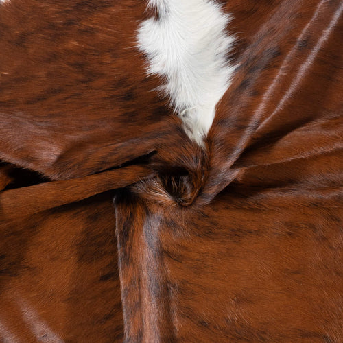 Brazilian Brindle White Belly and Backbone Cowhide Rug Size 6'6" L x 6'8" W 7853