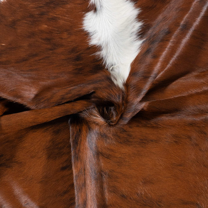 Brazilian Brindle White Belly and Backbone Cowhide Rug Size 6'6" L x 6'8" W 7853