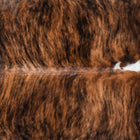files/7856_b_de6de0f8-b1d7-42d7-b735-7da0b09ef040.jpg