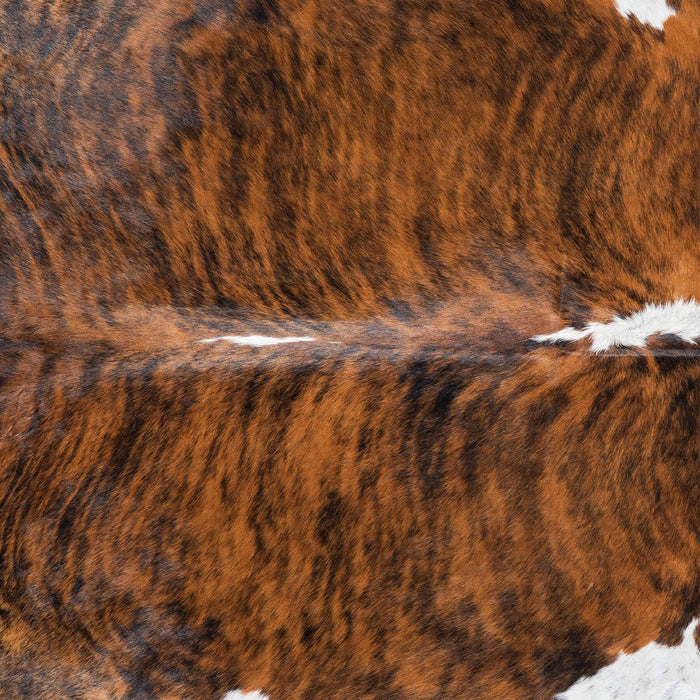 Brazilian Brindle White Belly and Backbone Cowhide Rug Size 8'5" L x 6'11" W 7860