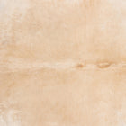 files/7910_b_43fabadb-31ee-4d8d-a0b2-7ce312eea8dc.jpg