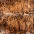 files/7950_b_5020e2b0-f17a-477a-bdbf-e7e39fdb0bbc.jpg