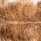 files/7963_b_2a06333d-4d71-425d-a70c-a6c000f9fbd1.jpg